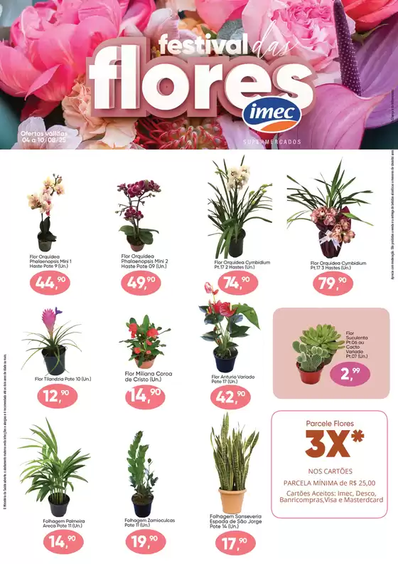 Festival das Flores