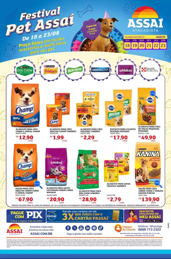 Novas ofertas para descobrir