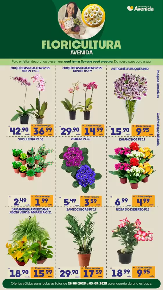 Encarte Rede Troyano de Supermercados