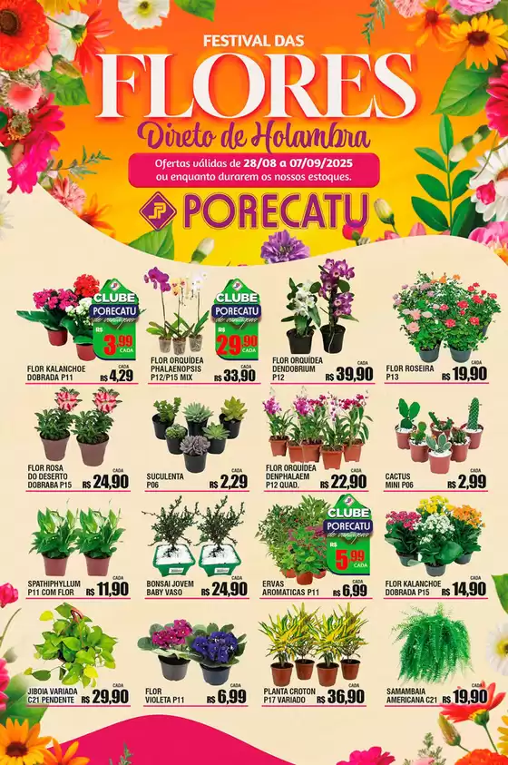 Tabloide Especial Festival Das Flores