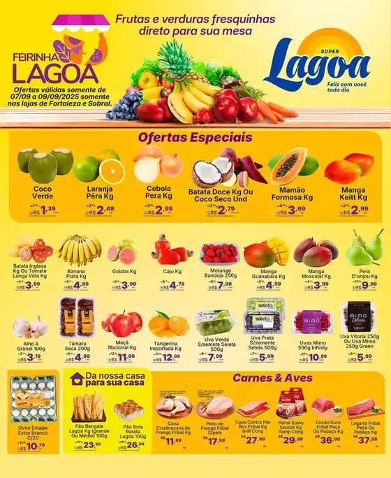 Encarte Super Lagoa