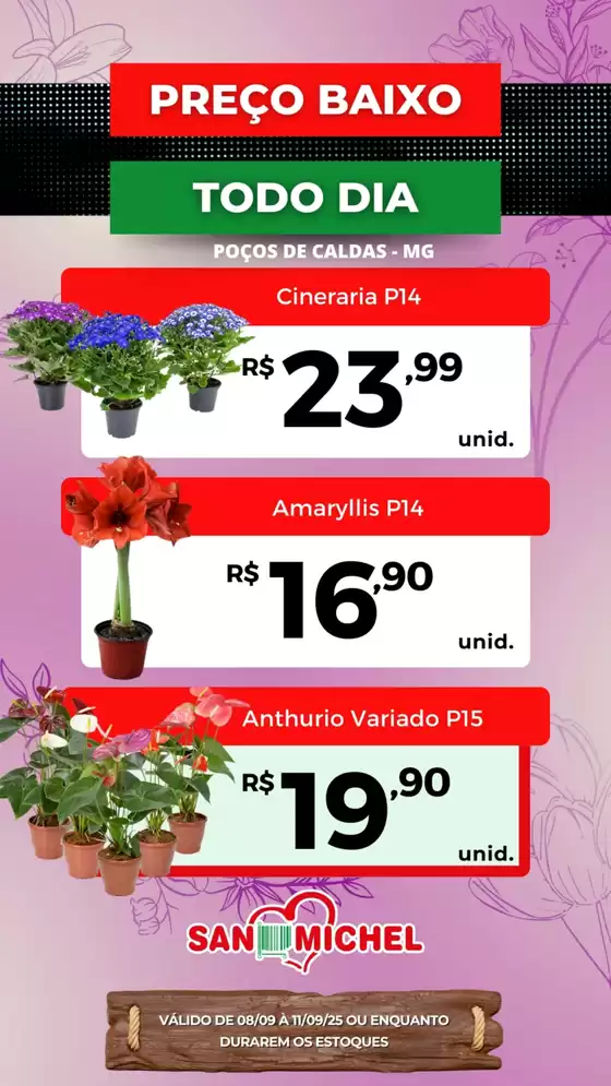 Floricultura