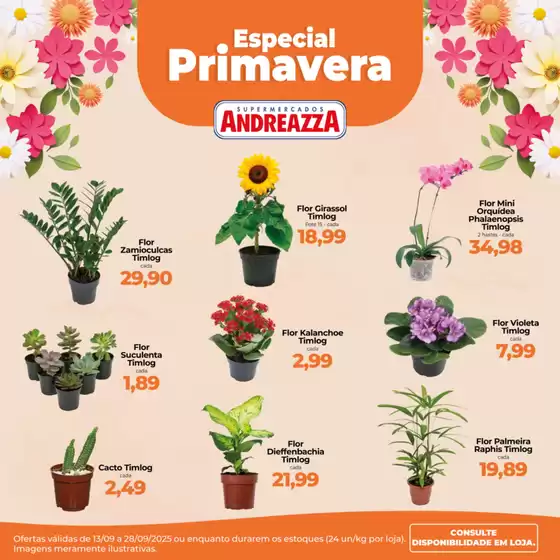 Nossas melhores ofertas para você