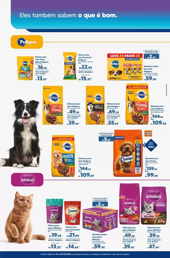 OFERTAS PET