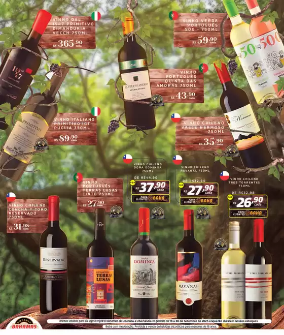Descubra ofertas atraentes