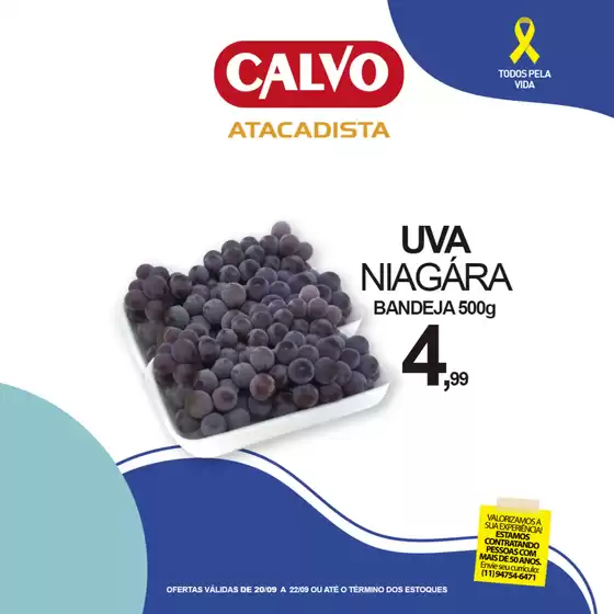 Catálogo Calvo Atacadista em Cachoeira | Encarte Calvo Atacadista | 2025-09-22T00:00:00.000Z - 2025-09-22T00:00:00.000Z