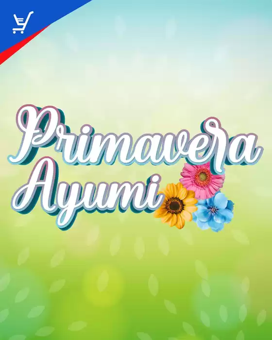 Encarte Ayumi Supermercados