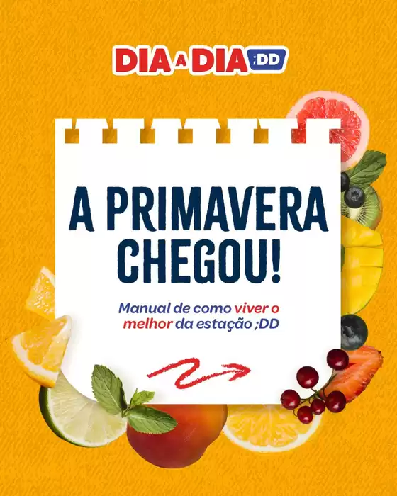 Nossas melhores pechinchas