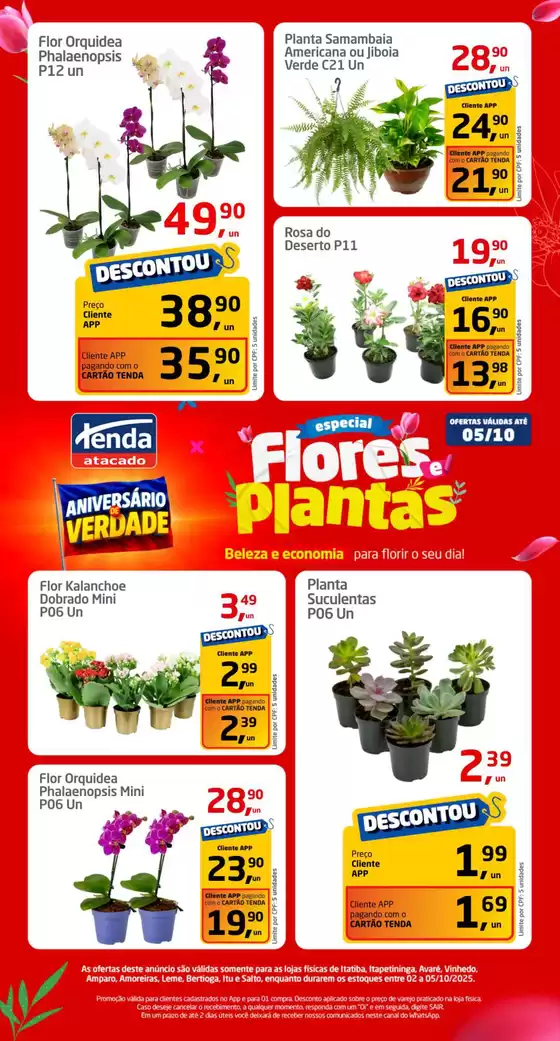 Especial Flores e Plantas 