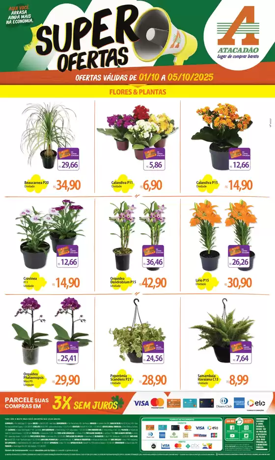 Catálogo Atacadão em Varginha | Atacadão - Flores & Plantas | 2025-10-02T00:00:00.000Z - 2025-10-05T00:00:00.000Z
