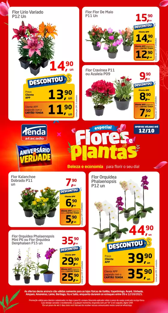 Catálogo Tenda Atacado em Aquidauana | Especial Flores e Plantas | 2025-10-09T00:00:00.000Z - 2025-10-12T00:00:00.000Z