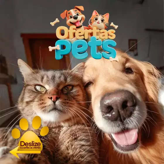 Encarte Novo Mix