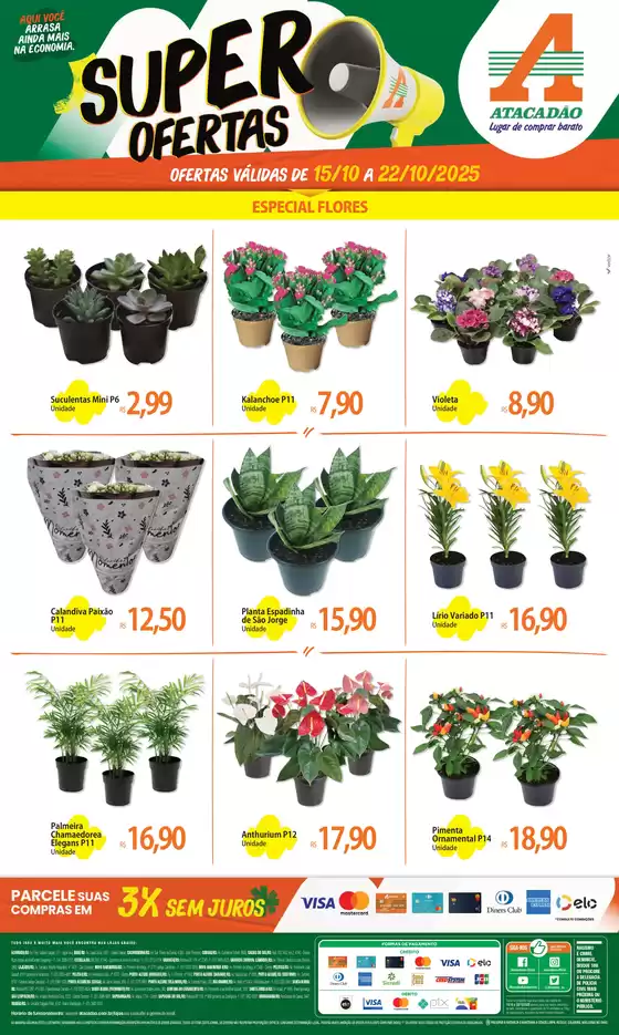 Atacadão - Flores & Plantas