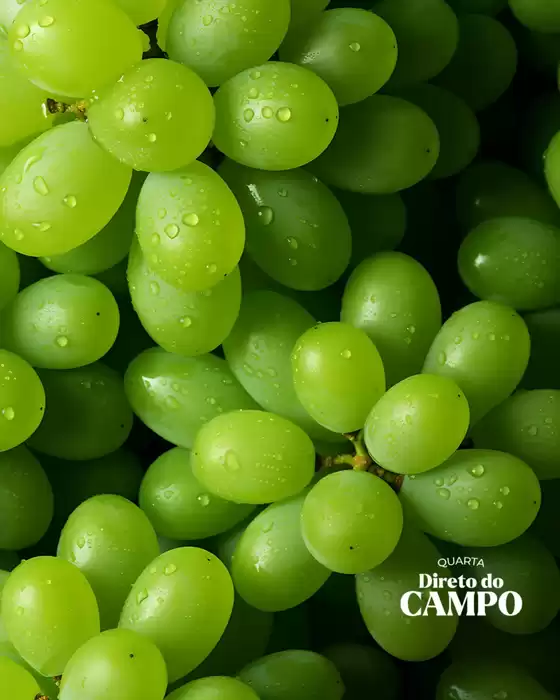 Catálogo Dona de Casa Supermercados | Direto Do Campo | 2025-10-29T00:00:00.000Z - 2025-10-29T00:00:00.000Z