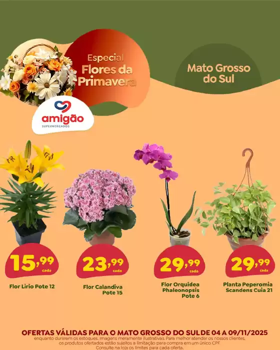 Catálogo Amigão Supermercados em Jardinópolis | Especial Flores E Plantas | 2025-11-04T00:00:00.000Z - 2025-11-09T00:00:00.000Z