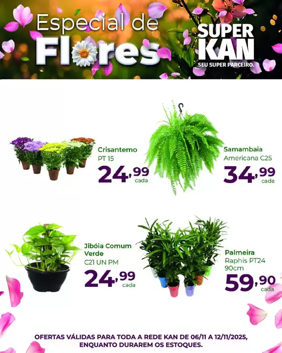 Especial De Flores