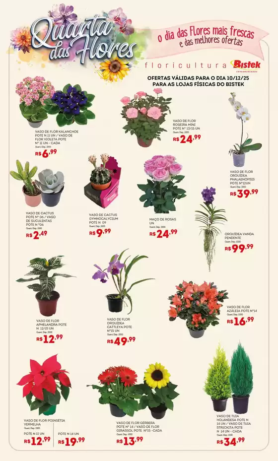 Catálogo Bistek Supermercados em Cocal do Sul | Descontos e promoções | 2025-12-10T00:00:00.000Z - 2025-12-10T00:00:00.000Z