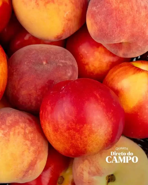 Catálogo Dona de Casa Supermercados em Taubaté | Direto do Campo | 2026-01-21T00:00:00.000Z - 2026-01-21T00:00:00.000Z