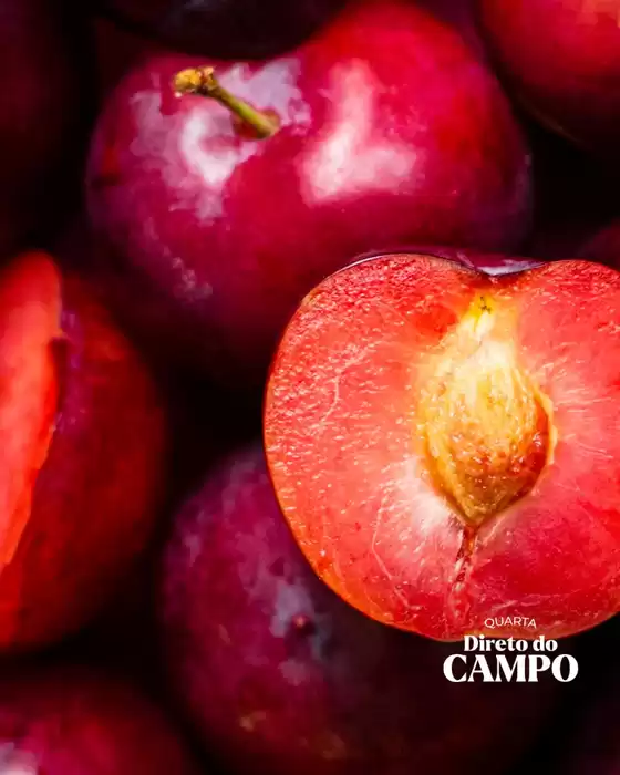 Catálogo Dona de Casa Supermercados | Quarta Direto Do Campo | 2026-02-04T00:00:00.000Z - 2026-02-04T00:00:00.000Z