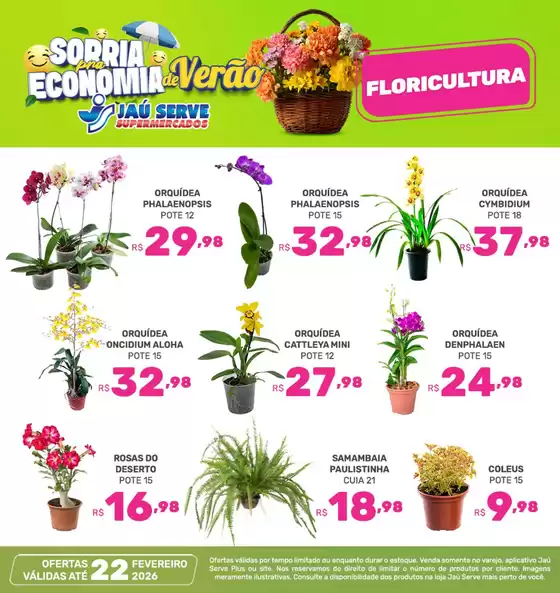 Catálogo Supermercados Jaù Serve em Ibirité | Floricultura | 2026-02-19T00:00:00.000Z - 2026-02-22T00:00:00.000Z