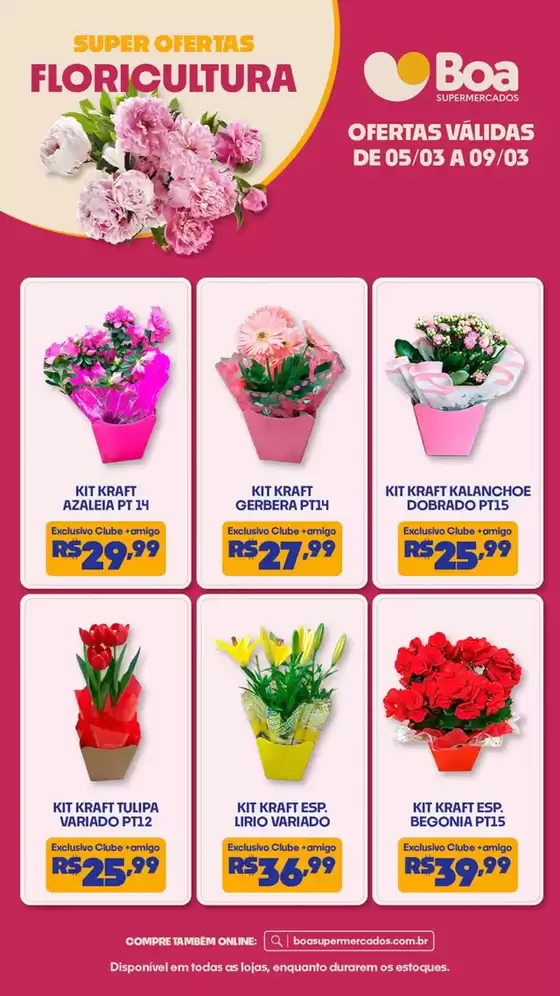 Catálogo Boa Supermercados | FLORICULTURA | 2026-03-05T00:00:00.000Z - 2026-03-09T00:00:00.000Z