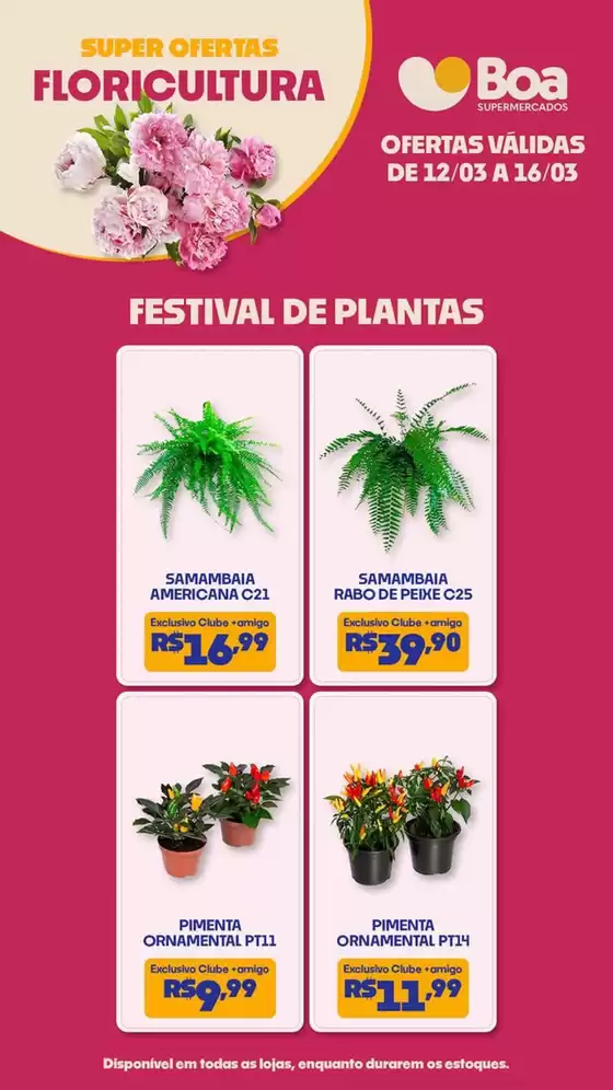 Catálogo Boa Supermercados em São José dos Campos | FLORICULTURA | 2026-03-12T00:00:00.000Z - 2026-03-16T00:00:00.000Z