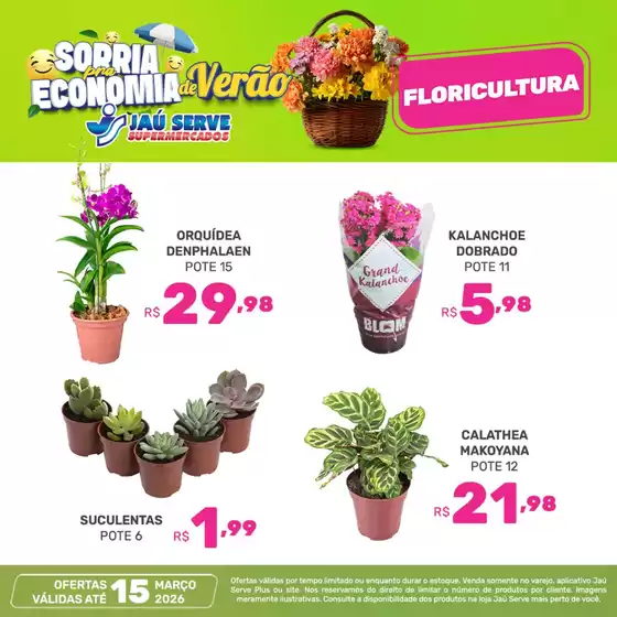 Catálogo Supermercados Jaù Serve em São José dos Campos | FLORICULTURA | 2026-03-12T00:00:00.000Z - 2026-03-15T00:00:00.000Z