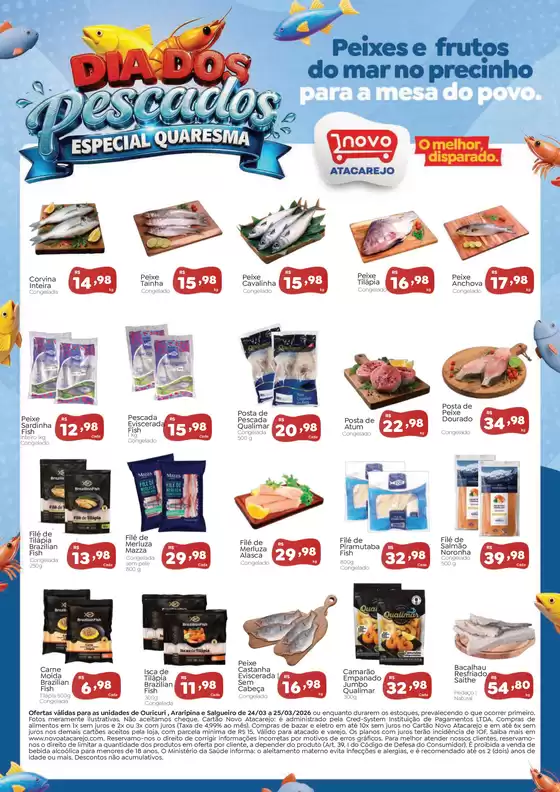 Catálogo Novo Atacarejo em Curitibanos | Novas ofertas para descobrir | 2026-03-24T00:00:00.000Z - 2026-03-25T00:00:00.000Z