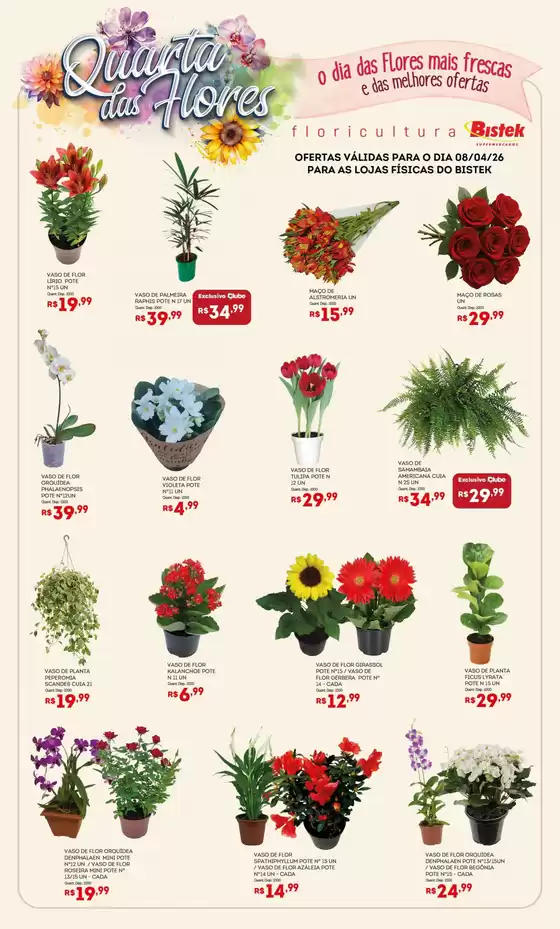 Catálogo Bistek Supermercados | Encarte Bistek Supermercados | 2026-04-08T00:00:00.000Z - 2026-04-08T00:00:00.000Z