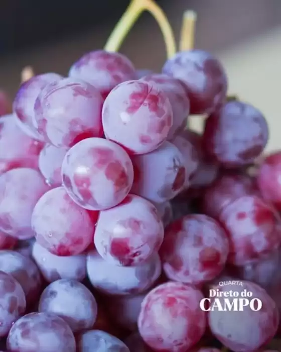 Catálogo Dona de Casa Supermercados | Quarta Direto Do Campo | 2026-04-15T00:00:00.000Z - 2026-04-15T00:00:00.000Z