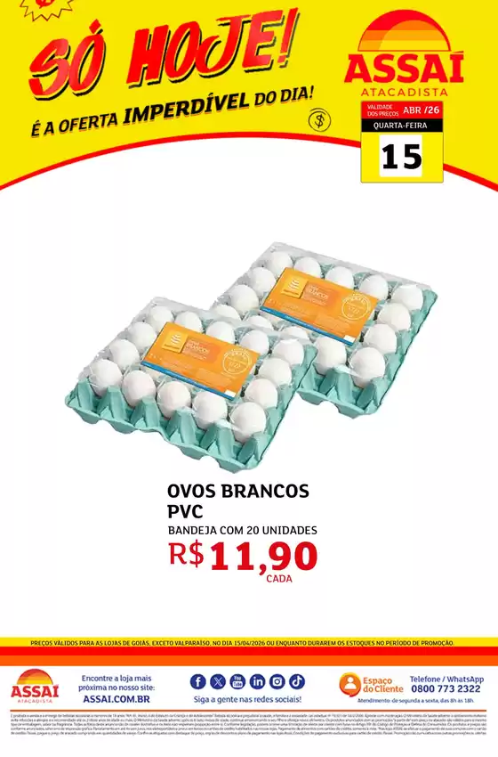 Catálogo Assaí Atacadista | Encarte Assaí Atacadista 46293-822 | 2026-04-15T00:00:00.000Z - 2026-04-15T00:00:00.000Z