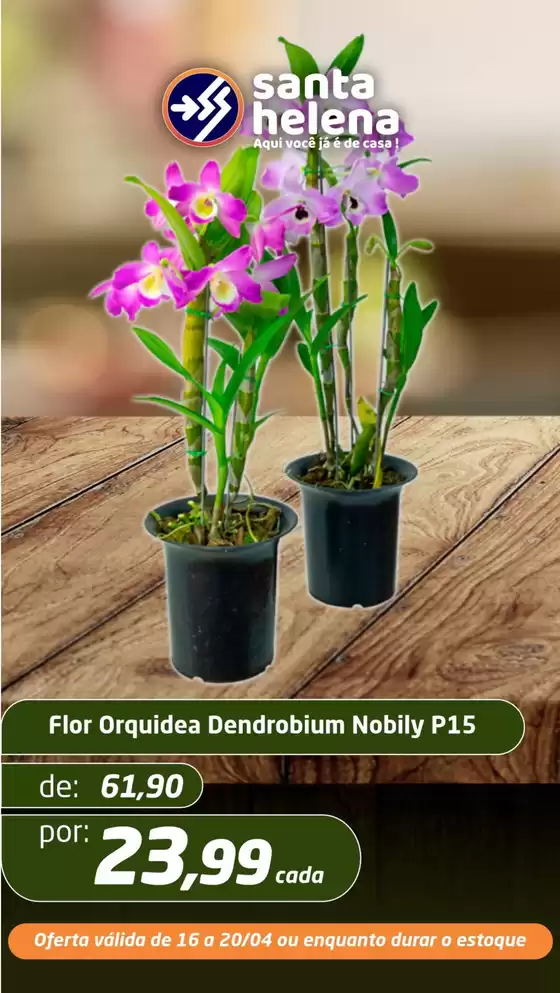 Catálogo Supermercados Santa Helena | Ofertas | 2026-04-16T00:00:00.000Z - 2026-04-20T00:00:00.000Z