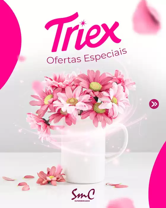 Catálogo Supermercado Cubatão | Ótima oferta para caçadores de pechinchas | 2026-05-13T00:00:00.000Z - 2026-05-26T00:00:00.000Z