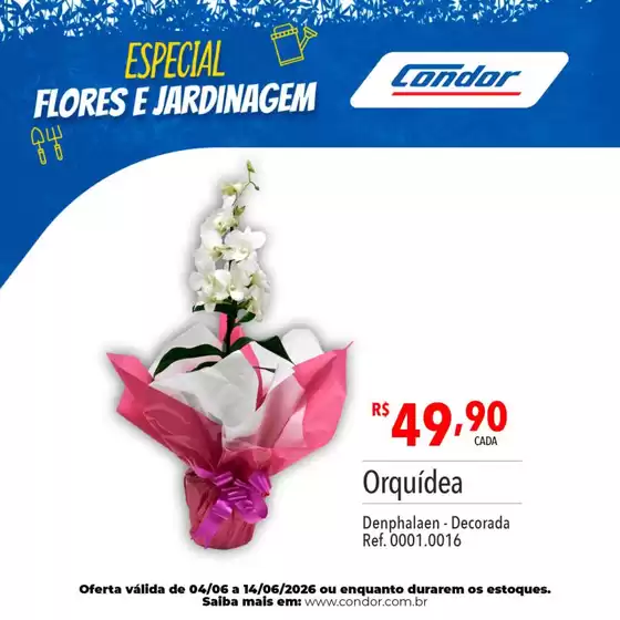 Catálogo Supermercados Condor | Melhores ofertas para todos os clientes | 2026-06-04T00:00:00.000Z - 2026-06-14T00:00:00.000Z
