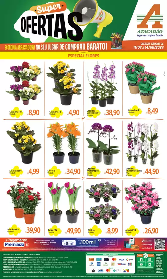 Catálogo Atacadão | Atacadão - Flores & Plantas | 2026-06-11T00:00:00.000Z - 2026-06-14T00:00:00.000Z