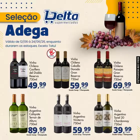 Catálogo Delta Supermercados | Ofertas especiais para você | 2026-06-12T00:00:00.000Z - 2026-06-24T00:00:00.000Z