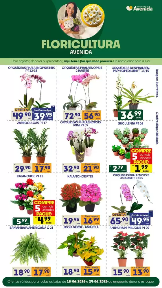 Catálogo Supermercados Avenida | Ótima oferta para caçadores de pechinchas | 2026-06-18T00:00:00.000Z - 2026-06-24T00:00:00.000Z