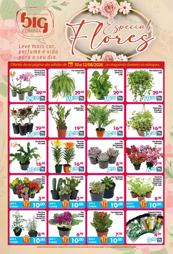 Catálogo Supermercados Big Compra | Ofertas especiais para você | 2026-08-10T00:00:00.000Z - 2026-08-12T00:00:00.000Z