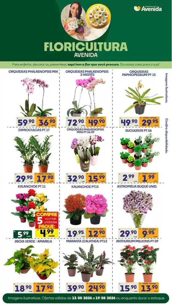 Catálogo Supermercados Avenida | Novas ofertas para descobrir | 2026-08-13T00:00:00.000Z - 2026-08-19T00:00:00.000Z
