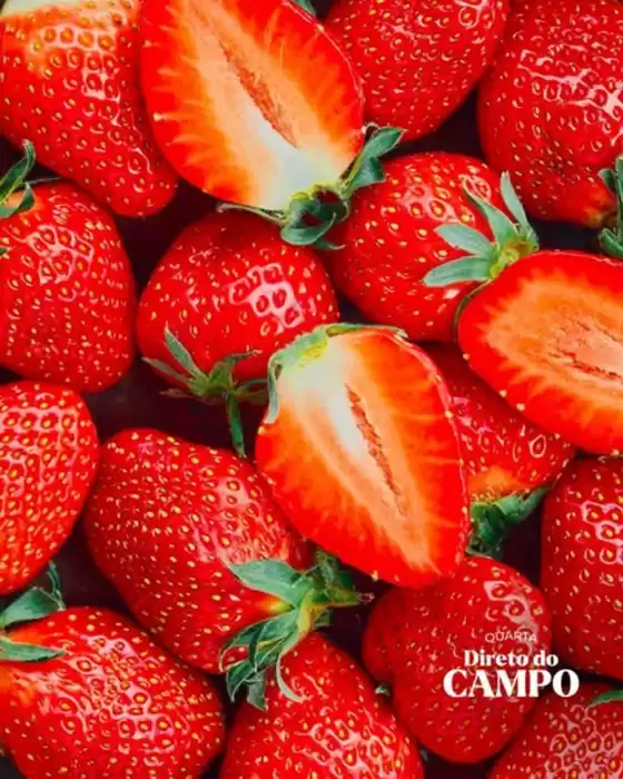 Catálogo Dona de Casa Supermercados | Quarda direto do campo | 2026-08-19T00:00:00.000Z - 2026-08-19T00:00:00.000Z