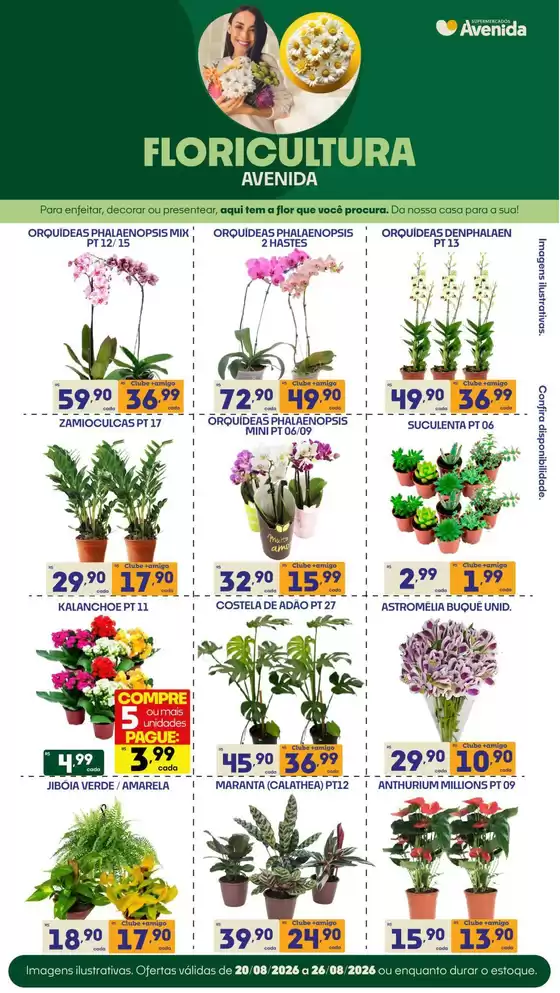Catálogo Supermercados Avenida | Ofertas para caçadores de pechinchas | 2026-08-20T00:00:00.000Z - 2026-08-26T00:00:00.000Z