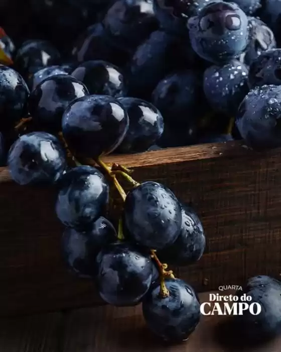 Catálogo Dona de Casa Supermercados | Ofertas | 2026-08-26T00:00:00.000Z - 2026-08-26T00:00:00.000Z