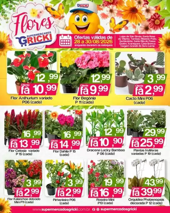 Catálogo Supermercados Gricki | Ofertas | 2026-08-28T00:00:00.000Z - 2026-08-30T00:00:00.000Z