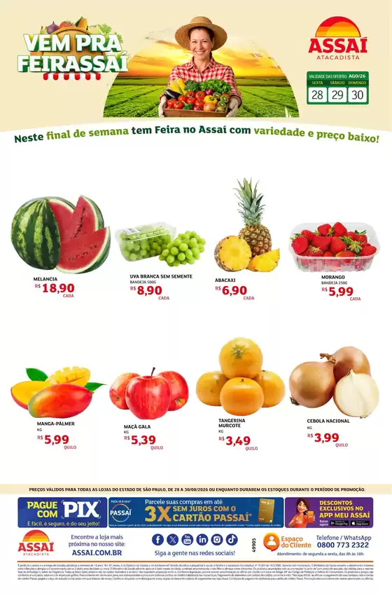 Catálogo Assaí Atacadista | Encarte Assaí Atacadista 49905 | 2026-08-28T00:00:00.000Z - 2026-08-30T00:00:00.000Z