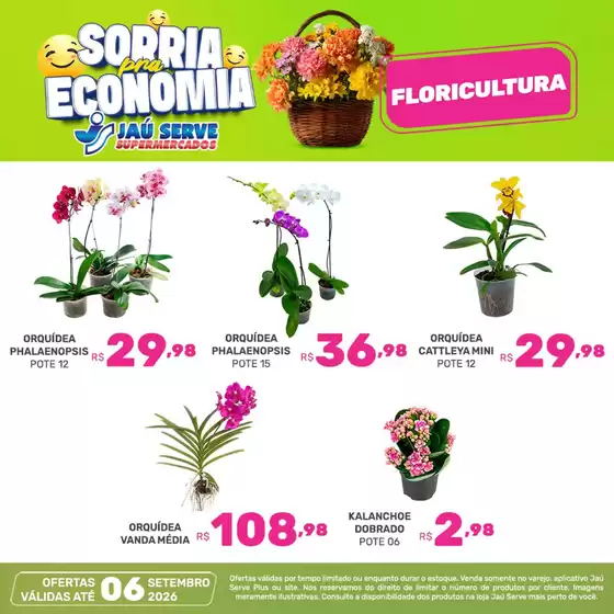 Catálogo Supermercados Jaù Serve | Florista | 2026-09-04T00:00:00.000Z - 2026-09-06T00:00:00.000Z