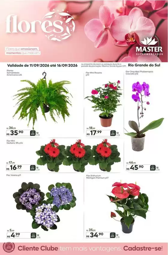 Catálogo Master Supermercados | Master RS flores | 2026-09-14T00:00:00.000Z - 2026-09-16T00:00:00.000Z