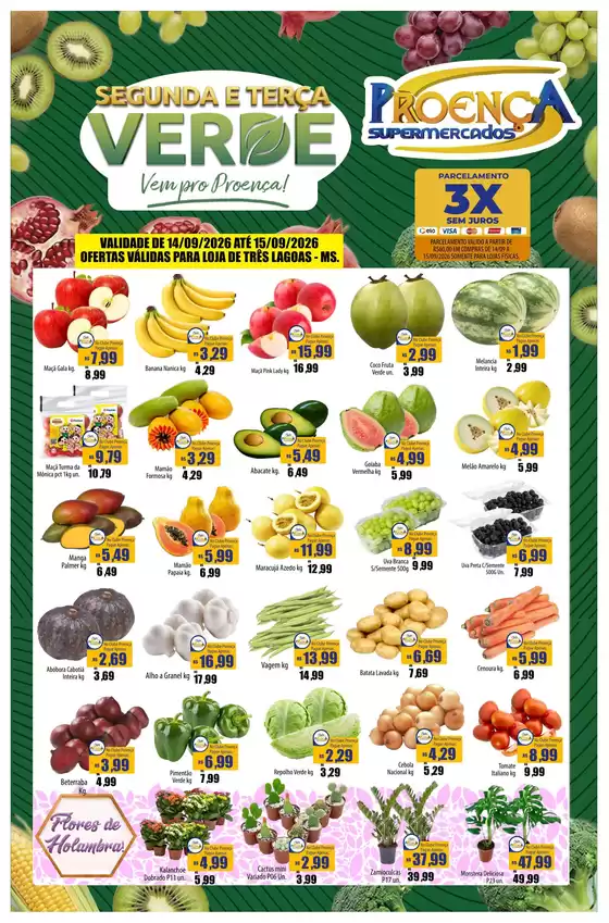 Catálogo Proença Supermercados | SEGUNDA E TERÇA VERDE MS 14 A 15 | 2026-09-14T00:00:00.000Z - 2026-09-15T00:00:00.000Z