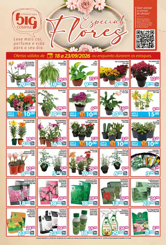 Catálogo Supermercados Big Compra | Especial Flores  | 2026-09-23T00:00:00.000Z - 2026-09-23T00:00:00.000Z