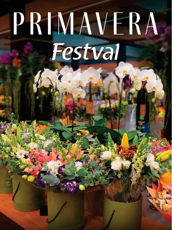 Catálogo Festval | Caderno Festval Curitiba - Primavera | 2026-09-23T00:00:00.000Z - 2026-10-04T00:00:00.000Z