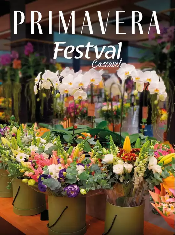 Catálogo Festval | Caderno Festval Cascavel - Primavera | 2026-09-23T00:00:00.000Z - 2026-10-04T00:00:00.000Z